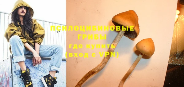 spice Алексин