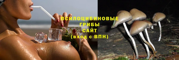 прущие крисы Алексеевка