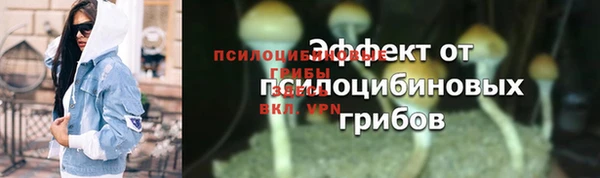 прущие крисы Алексеевка
