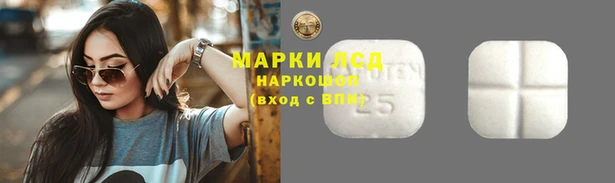spice Алексин