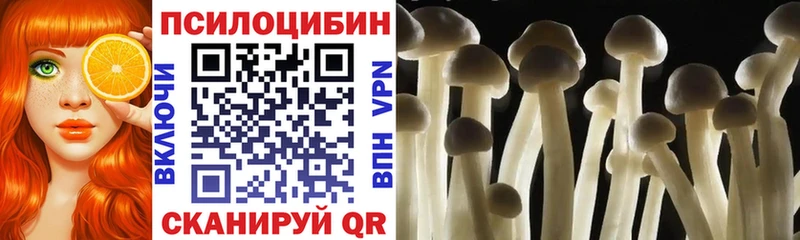 Галлюциногенные грибы Cubensis  купить наркотик  Симферополь 